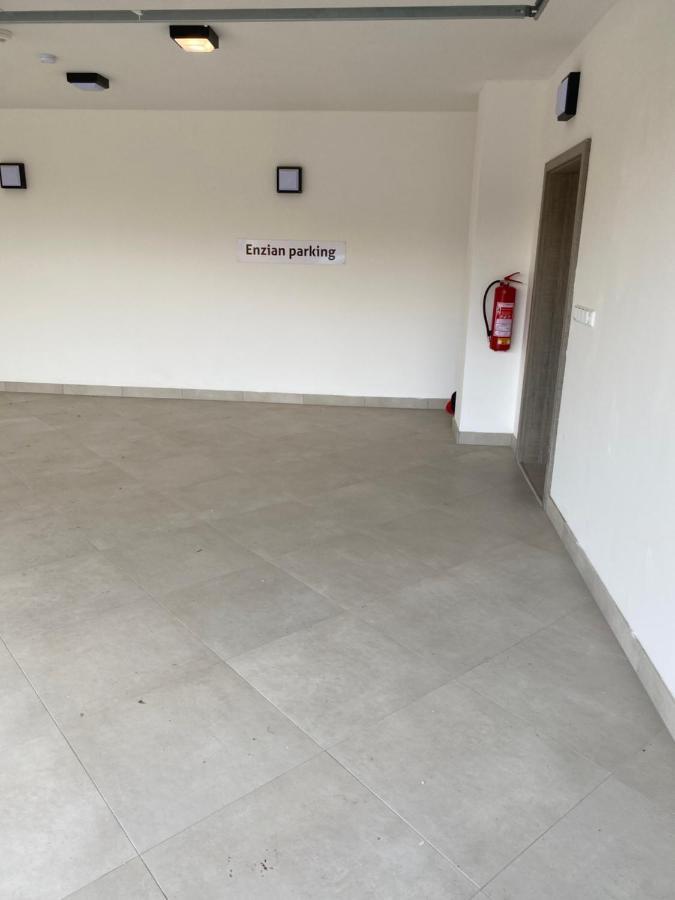 Apartment Enzian Loučná pod Klínovcem Екстериор снимка